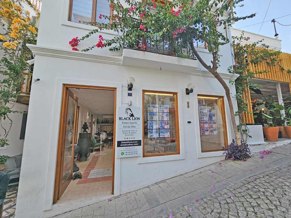 Black Lion Property in Kalkan Turkey